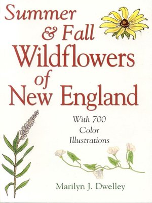 cover image of Summer & Fall Wildflowers of New England